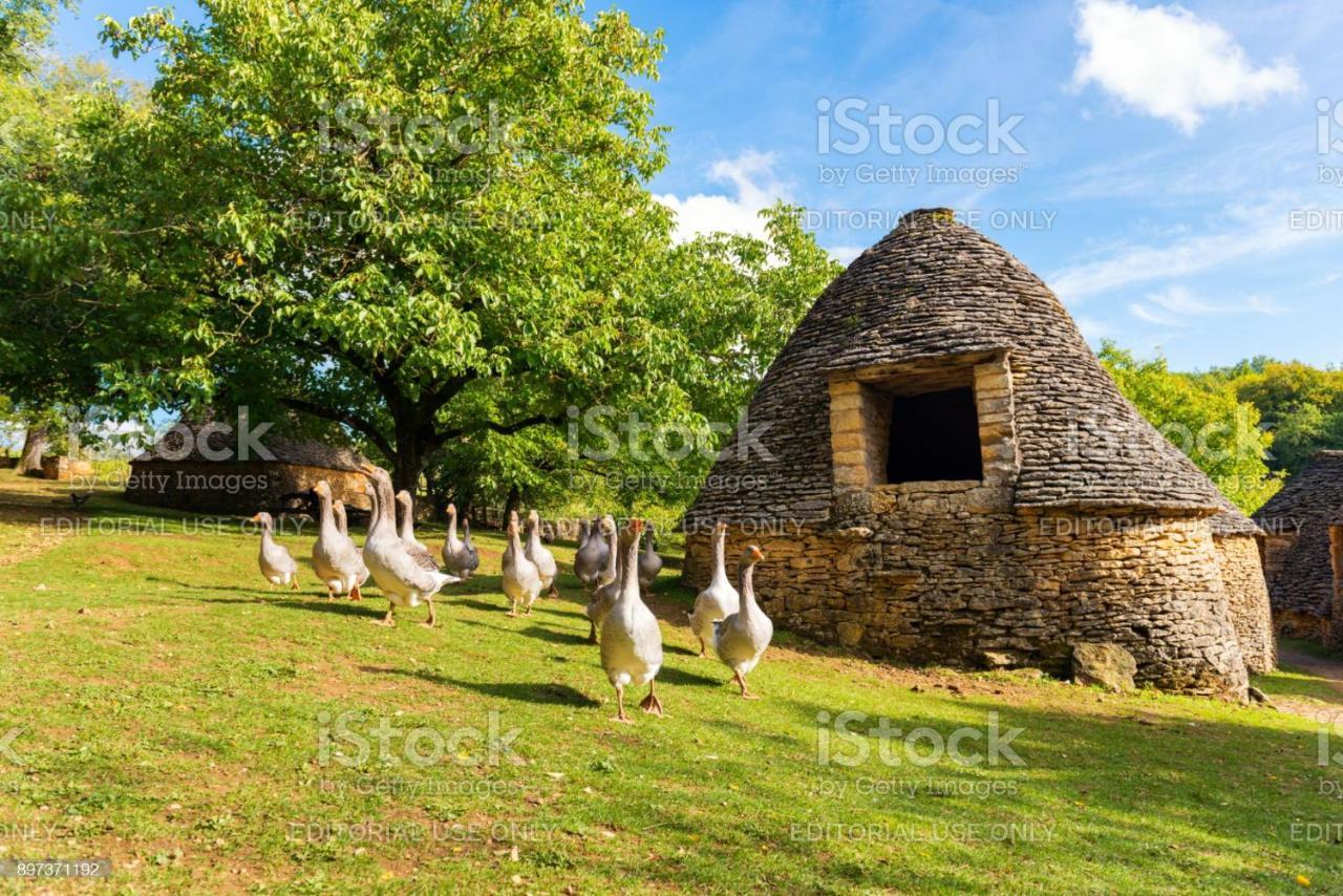 Studio Fontaine D'Amour Sarlat-la-Canéda Exteriér fotografie